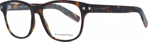 Brown Plastic Glasses (Frames)