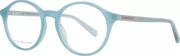 Blue Plastic Glasses (Frames)