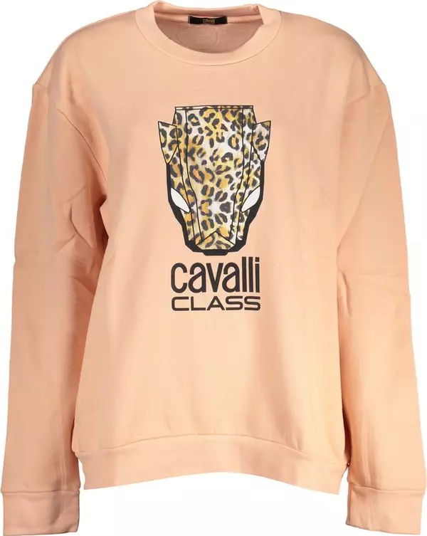 Rosa Polyester Women Sweatshirt