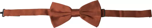 Brown Silk Adjustable Neck Men Bow Tie