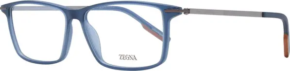 Blue Plastic Glasses (Frames)