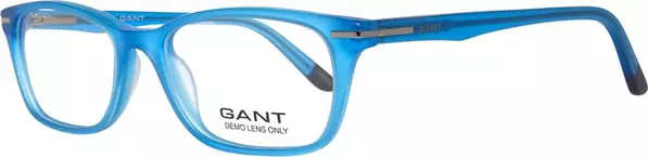 Blue Plastic Glasses (Frames)