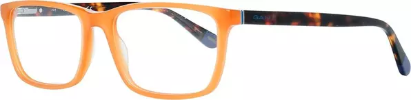 Brown Plastic Glasses (Frames)