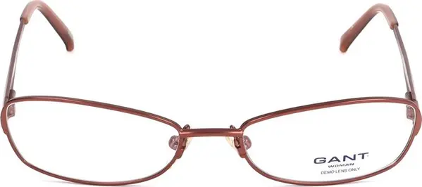 Brown Plastic Glasses (Frames)