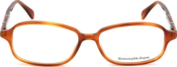 Brown Plastic Glasses (Frames)