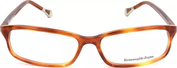 Brown Plastic Glasses (Frames)
