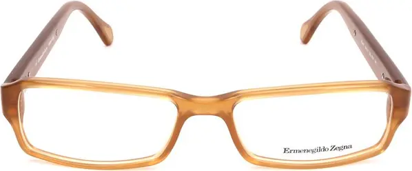 Brown Plastic Glasses (Frames)