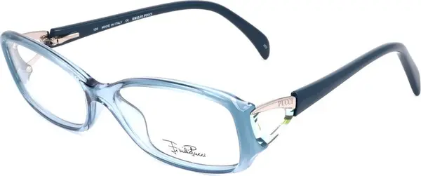 Blue Plastic Glasses (Frames)