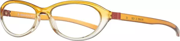 Orange Plastic Glasses (Frames)