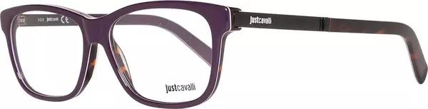 Purple Plastic Glasses (Frames)