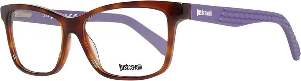 Brown Plastic Glasses (Frames)