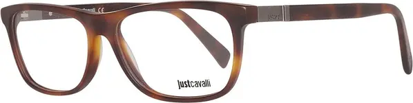 Brown Plastic Glasses (Frames)