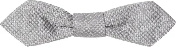 Gray Silk Bowtie