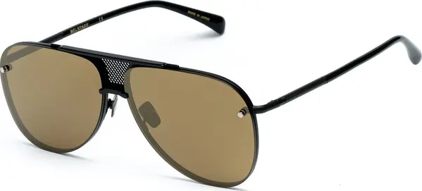 Black Titanium Sunglasses