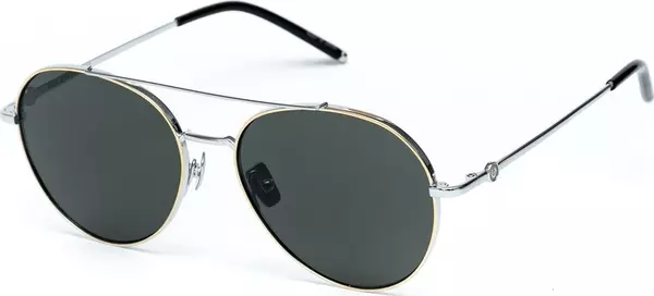 Gray Titanium Sunglasses