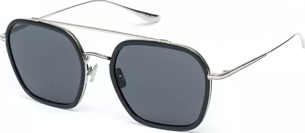 Gray Titanium Sunglasses