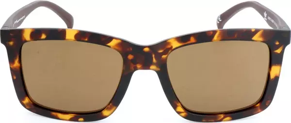 Brown Acetate Sunglasses