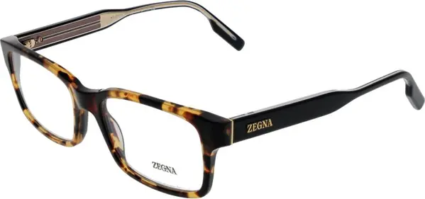 Brown Acetate Glasses (Frames)