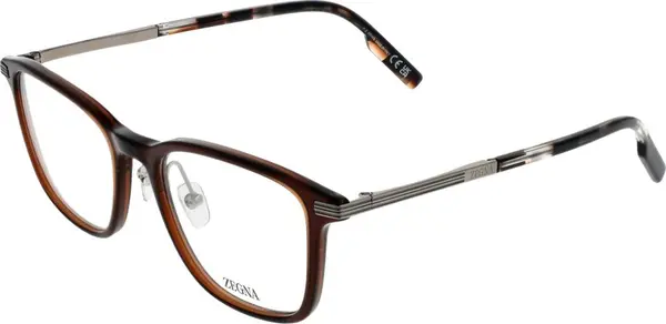 Brown Plastic & Titanium Glasses (Frames)