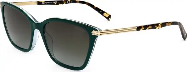 Brown Resin Sunglasses