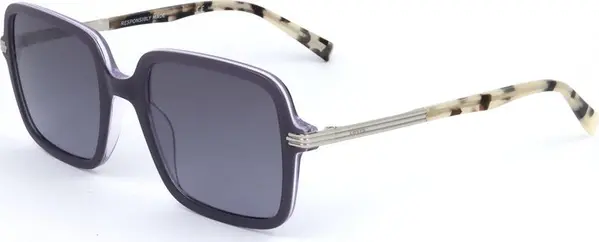 Brown Resin Sunglasses