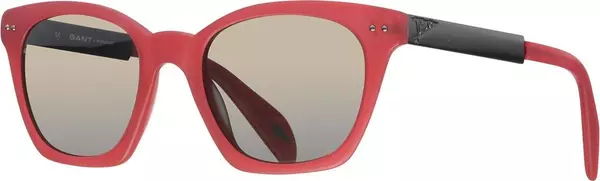 Bicolor Acetate Sunglasses