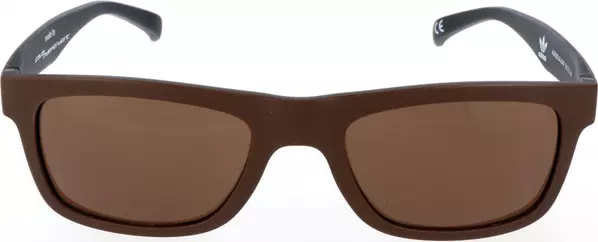 Brown Acetate Sunglasses