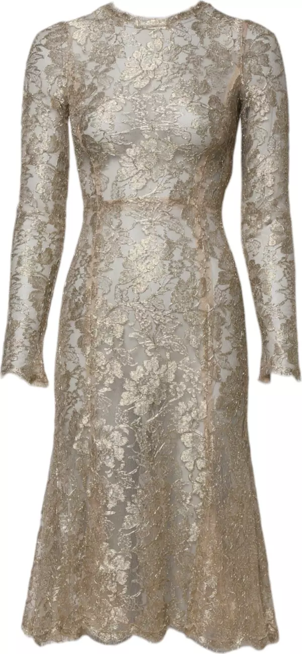Gold Floral Lace Long Sleeves Fit & Flare Dress