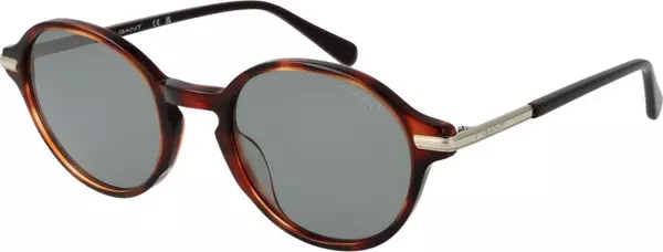 Brown Acetate Sunglasses