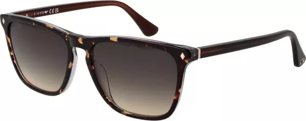 Brown Acetate Sunglasses