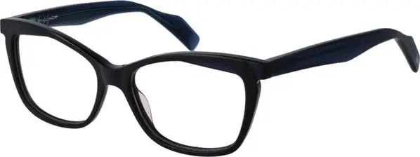 Blue Plastic Glasses (Frames)