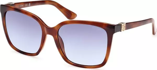 Marrone Injected Women Sunglasses