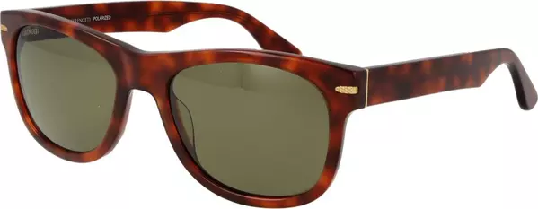 Brown Plastic Sunglasses