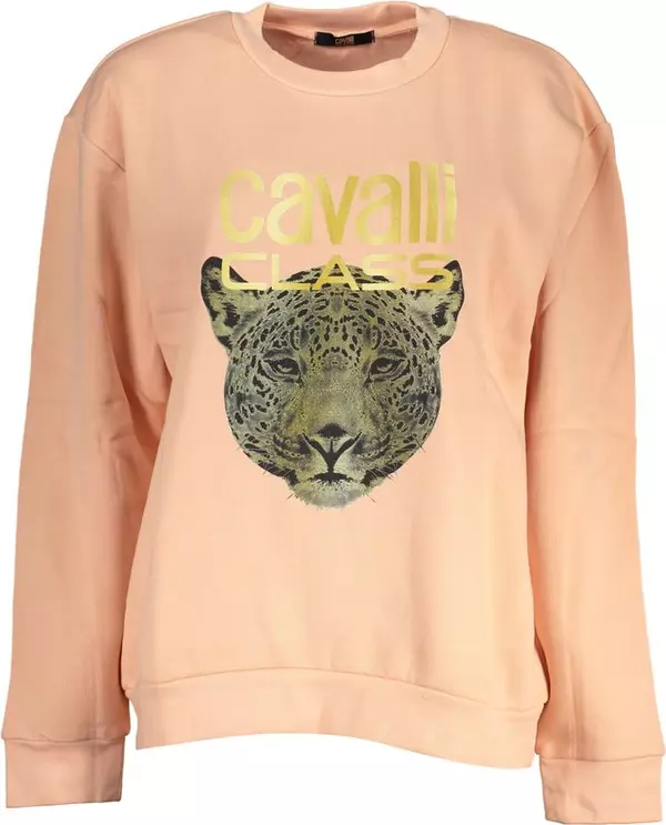 Rosa Polyester Women Sweatshirt