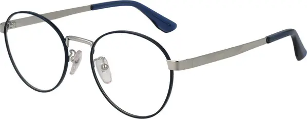 Blue Metal Glasses (Frames)