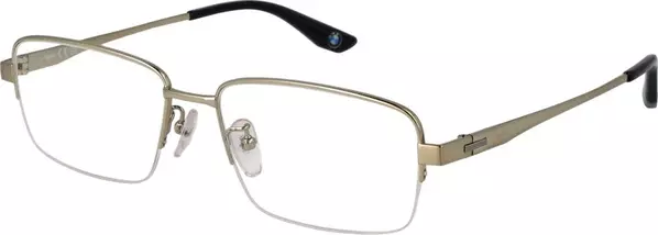 Gold Titanium Glasses (Frames)