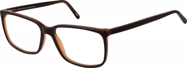 Brown Acetate Glasses (Frames)