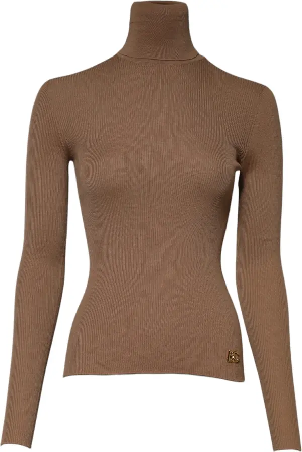 Brown Knit Long Sleeves Turtleneck Sweater