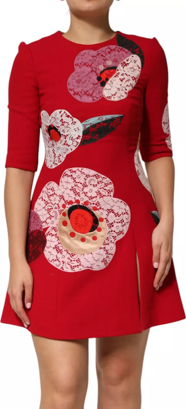Red Lace Floral Applique A-line Mini Dress