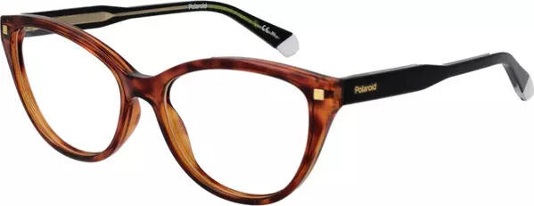 Brown Cellulose Propionate Glasses (Frames)