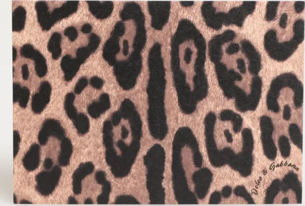 Multicolor Leopard Print Envelope Paper Post Card Holder