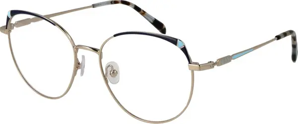 Gold Metal Glasses (Frames)
