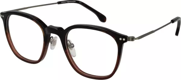 Brown Metal Glasses (Frames)