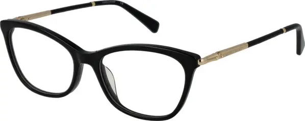 Black Plastic Glasses (Frames)