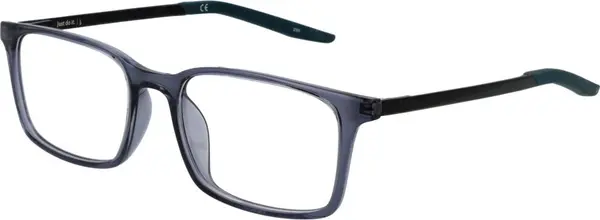 Blue Plastic Glasses (Frames)