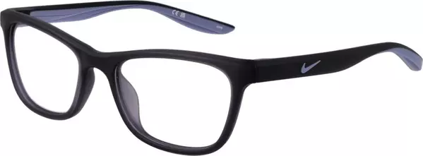 Purple Stainless Steel Glasses (Frames)