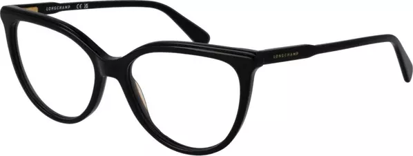 Black Acetate Glasses (Frames)