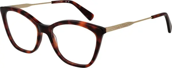 Brown Metal & Plastic Glasses (Frames)