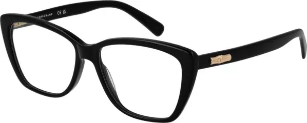 Black Acetate Glasses (Frames)