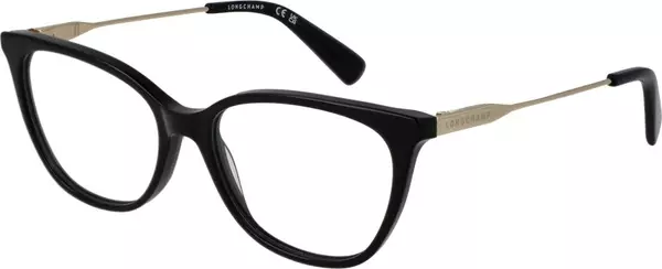 Black Metal Glasses (Frames)